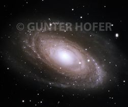 19 - M81 Galaxy