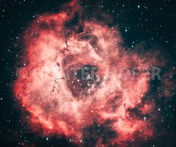 11 - The Rosette Nebula